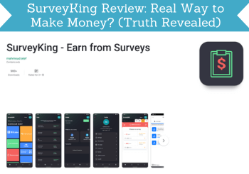 surveyking review header