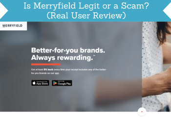 merryfield review header