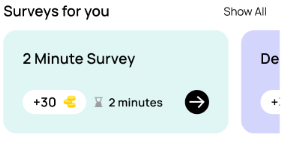 brandbee surveys