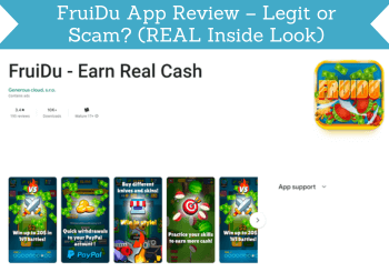 fruidu app review header