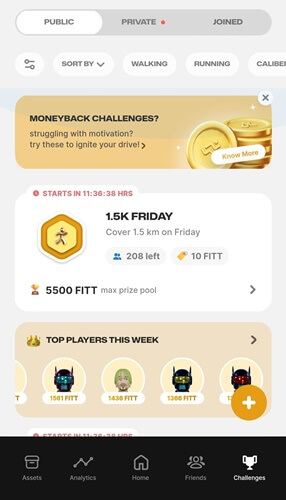 fitmint challenges