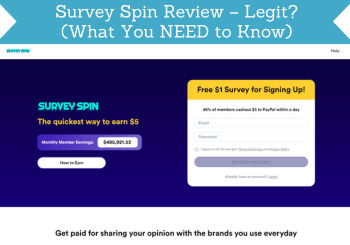 survey spin review header