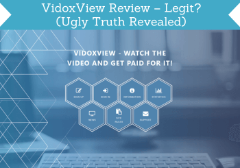 header for vidoxview review