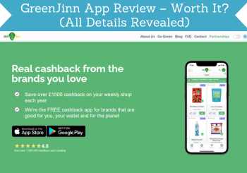 greenjinn review header