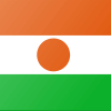 niger flag button