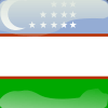 uzbekistan flag button