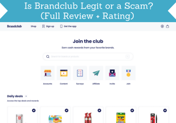 header for brandclub review