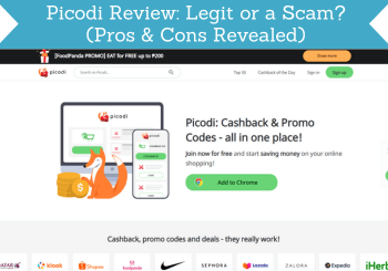 picodi review header