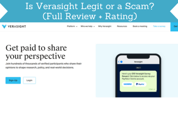 header for verasight review