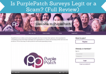 purplepatch surveys review header