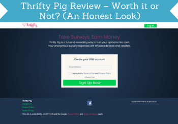 thrifty pig review header