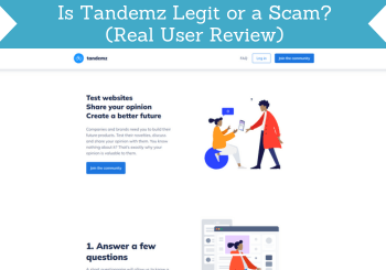 tandemz review header