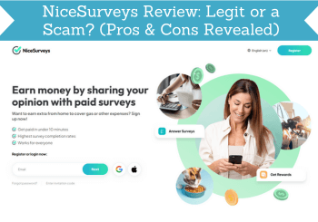 nicesurveys review header