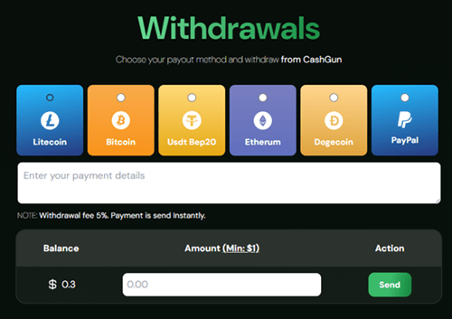 payout options of cashgun