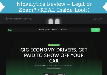 nickelytics review header