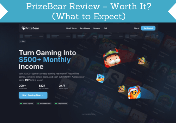 prizebear review header